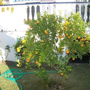 Capistrano1 Nerja